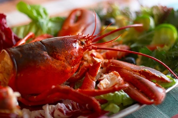 Istakoz Aroması Tarifi ve Malzemeleri Istakoz Aroması Tarifi ve Malzemeleri