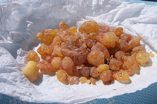 Çam Sakızı Aroması Tarifi ve Malzemeleri