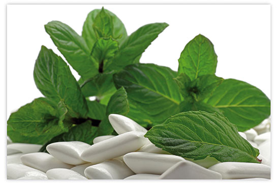 Mentol Aroması Tarifi ve Malzemeleri